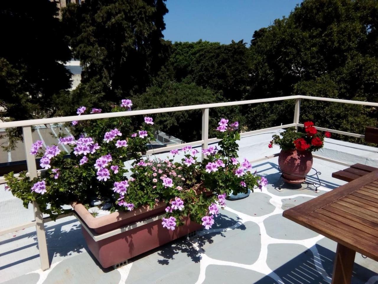 Park House -Beside The Medieval Town Of Rhodes Rhodes City Exterior foto